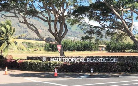 Maui Tropical Plantation closing